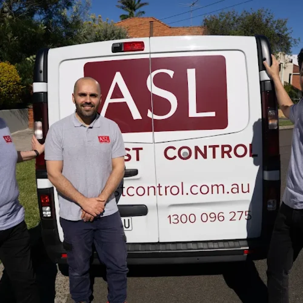 Pest Control Business